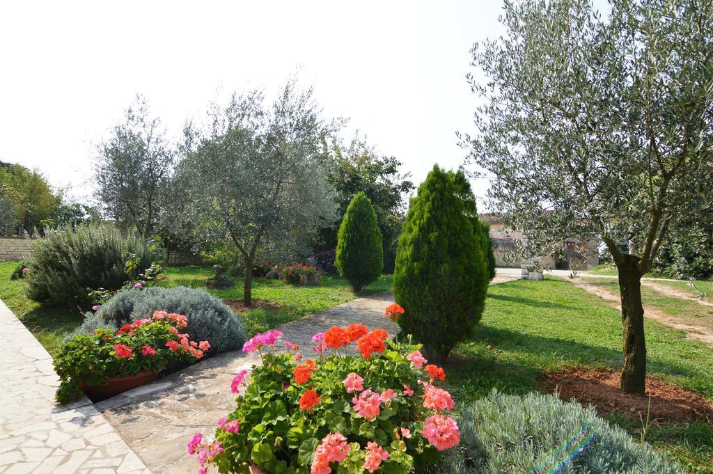 Garden Apartment Maria Vrsar Exteriör bild