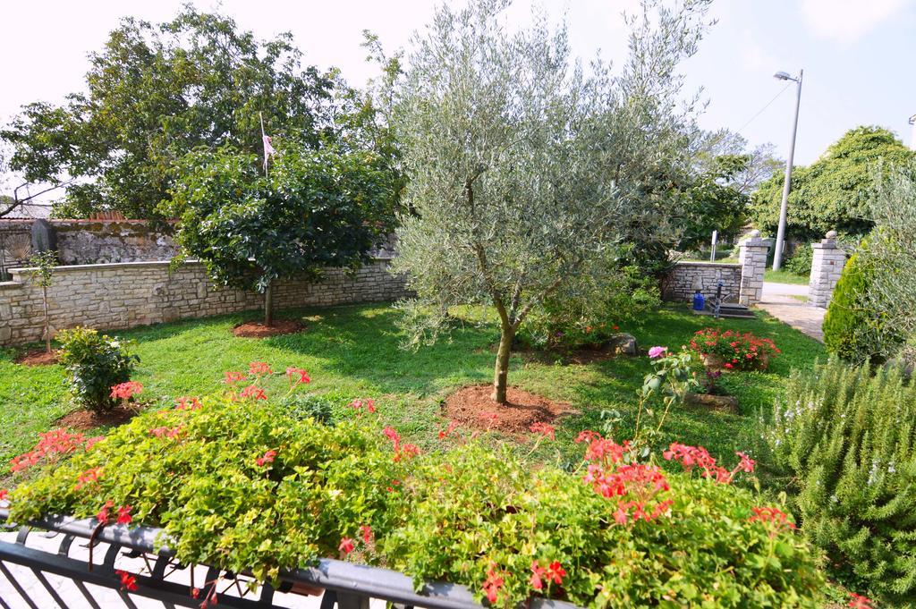 Garden Apartment Maria Vrsar Exteriör bild